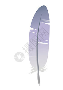羽羽毛插图写作蓝色工具背景图片