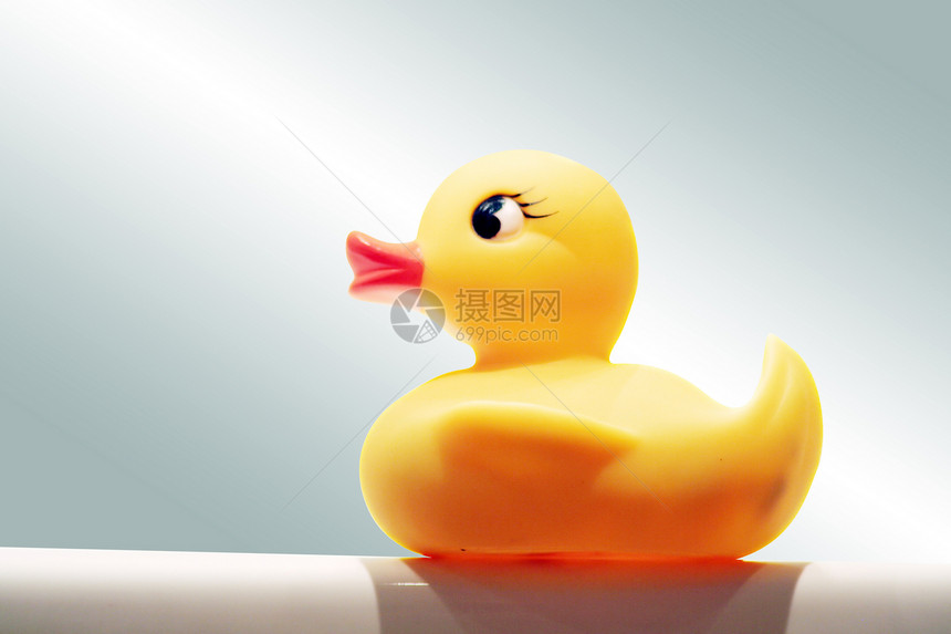 鸭子乐趣小鸭子动物蓝色橡皮淋浴浴缸房子童年游泳图片