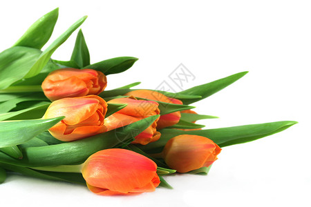 郁金花束盟约乐趣问候语绿色花朵植物橙子注意力礼物高清图片