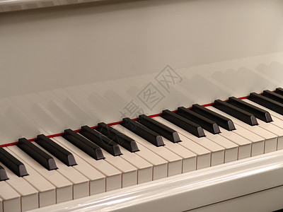 钢琴键灰色白色钥匙经典反射背景图片