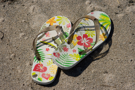 海滩沙丘女鞋旅行假期凉鞋图案花卉白色背景图片