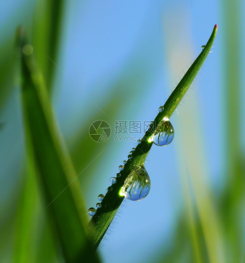 水滴绿色反射珍珠雨滴水珠蓝色闪光图片