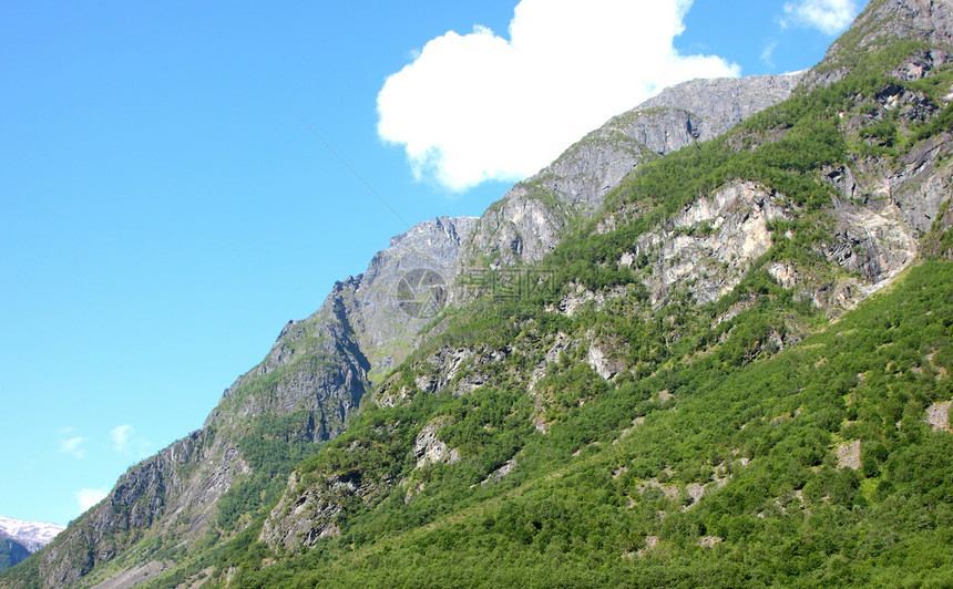 春天在挪威山坡上风景晴天房子天空森林美丽环境山腰蓝色季节图片