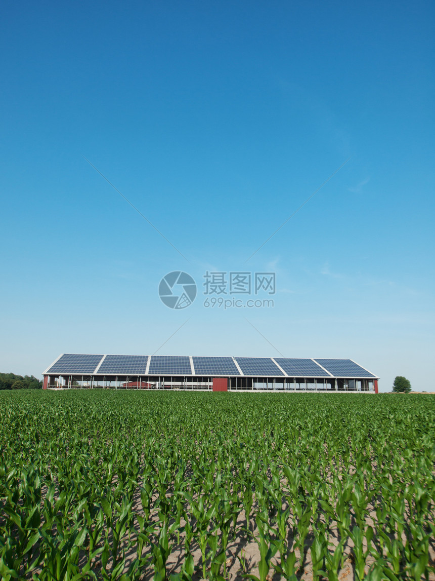 农场和太阳能电池板图片