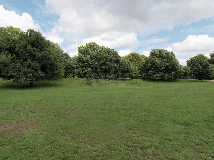 伦敦肯辛顿花园绿色英语公园草地植被花园树木王国图片