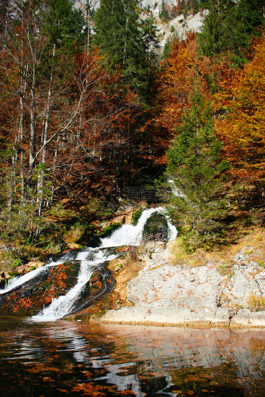 小型瀑水溪流森林岩石旅游流动旅行急流白色石头图片