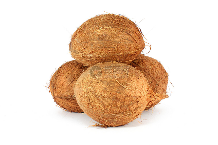 椰子白色圆形牛奶异国热带情调棕榈营养食物坚果图片