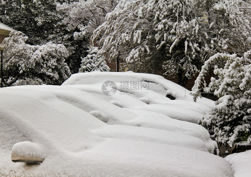 雪清晨图片