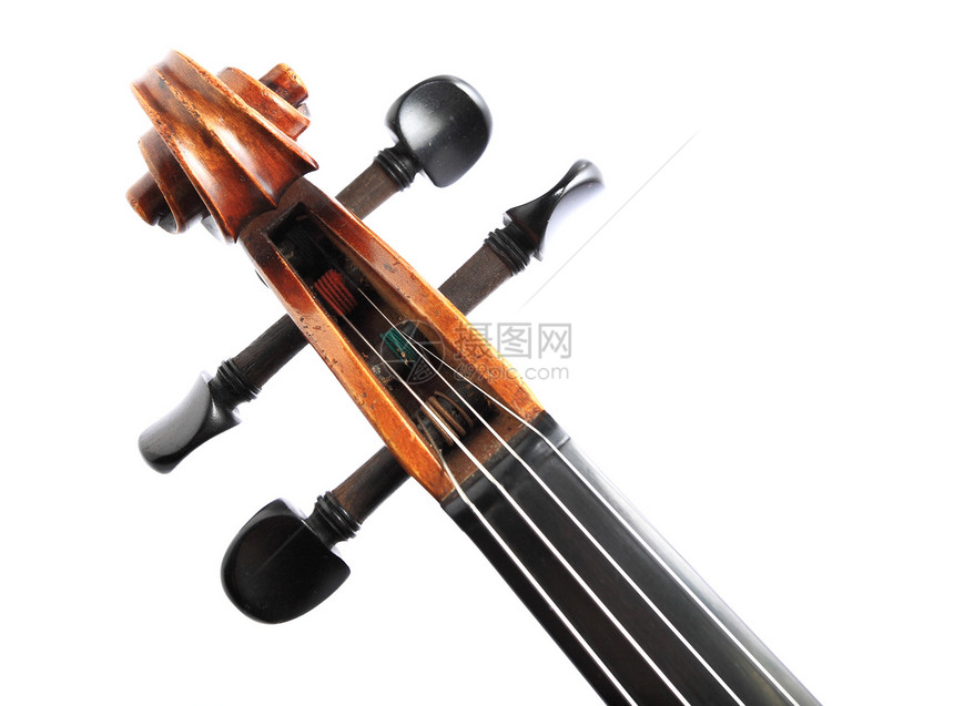 小提琴头脖子娱乐笔记文化细绳音乐会套装音乐家木头歌曲图片