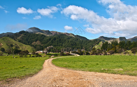 科尔维尔农场场地山脉旅行树木白色薄雾绿色放松丘陵农场背景