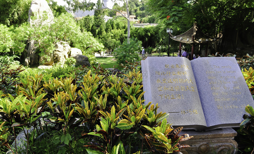 俯视公园花园的书雕像图片