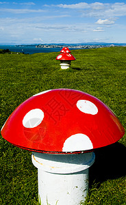 装饰蘑菇白色艺术斑点绿色红色蓝色天空背景图片