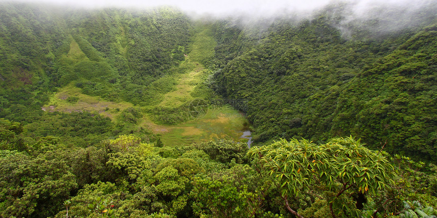 Crater  圣基茨火山爬坡陨石休眠植被杂草背风海拔热带旅行图片