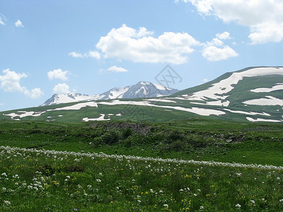 一段距离阿尔卑斯山草原斜坡花朵冰川山丘风景高山植物群青菜植被旅行背景