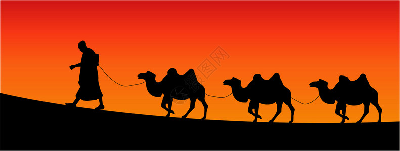 摩洛哥沙漠骆驼晴天游客运输沙漠贸易动物旅行男人旅游野生动物插画