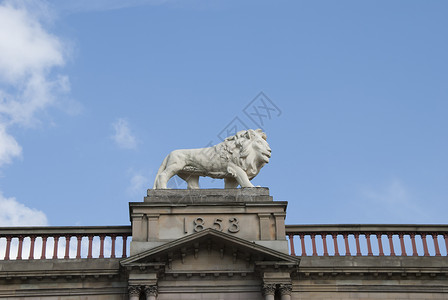 狮子雕像3哈德斯菲尔德高清图片