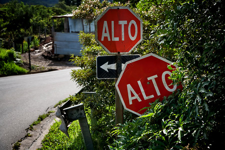圣埃莱娜哥斯达黎加的阿尔托标志背景
