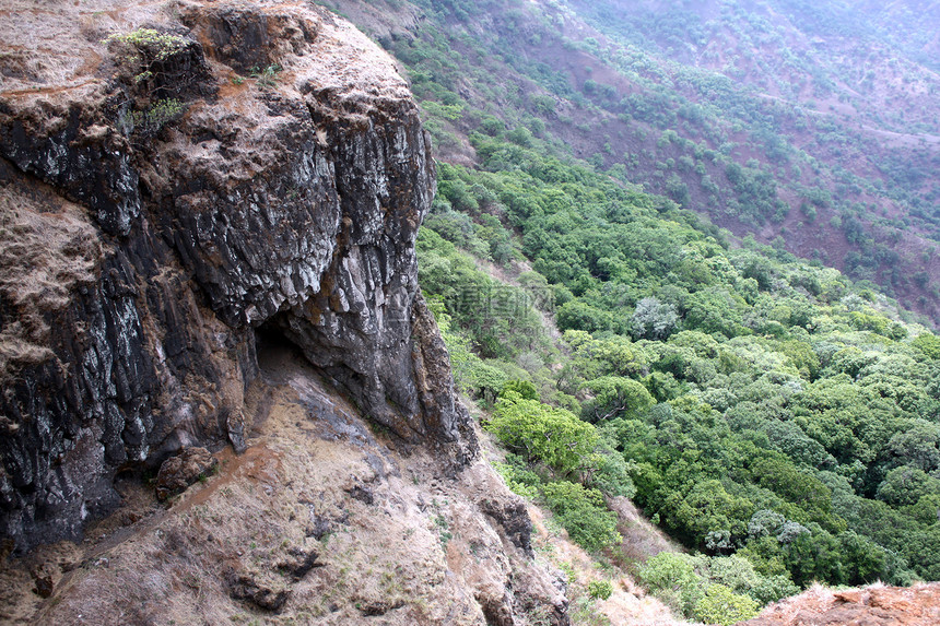 大象岩风景悬崖编队树木场景岩石图片