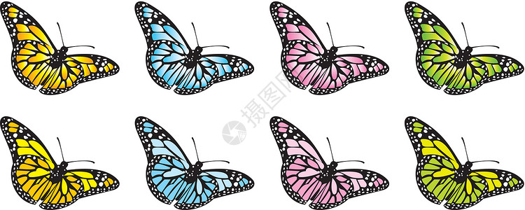 蝴蝶矢量飞行插图生活剪贴昆虫快乐翅膀幸福背景图片