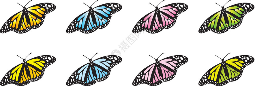 蝴蝶矢量快乐插图翅膀昆虫剪贴飞行生活幸福背景图片