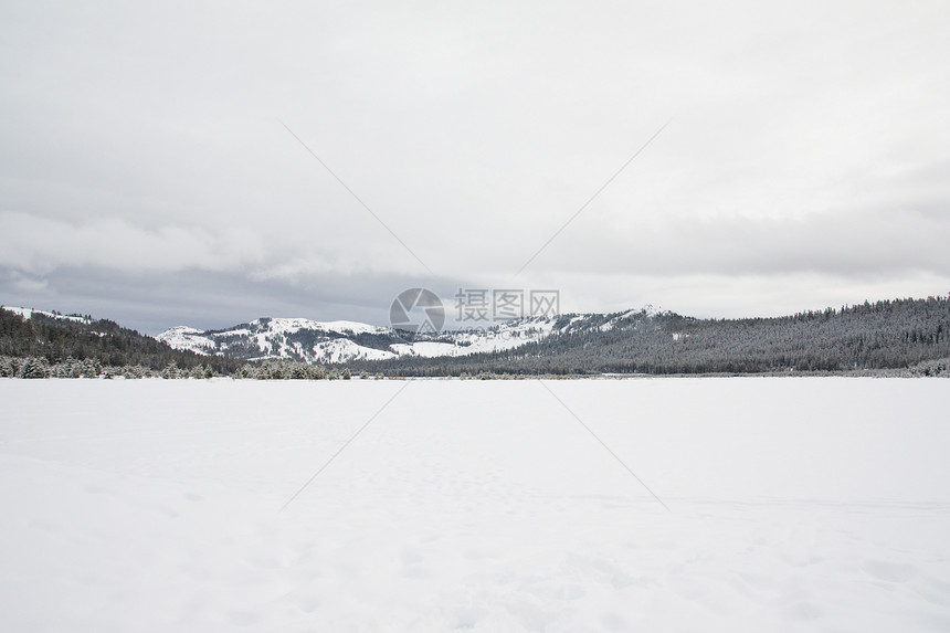 雪山场景白色雪景天空滑雪丘陵季节粉末风景松树图片