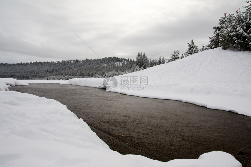 冬季雪雪景松树天空粉末假期滑雪风景季节场景白色云杉图片
