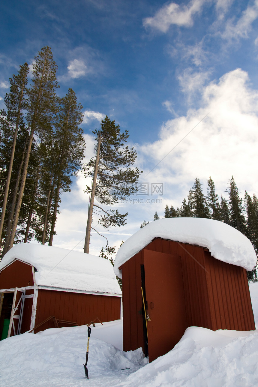 积雪蓝色树木场景粉末雪景白色天空假期云杉冷冻图片