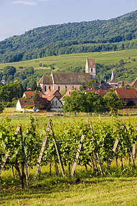 奥森维尔法国阿尔萨斯奥尔施维赫尔位置酒业外观教会农业房屋村庄乡村房子教堂背景