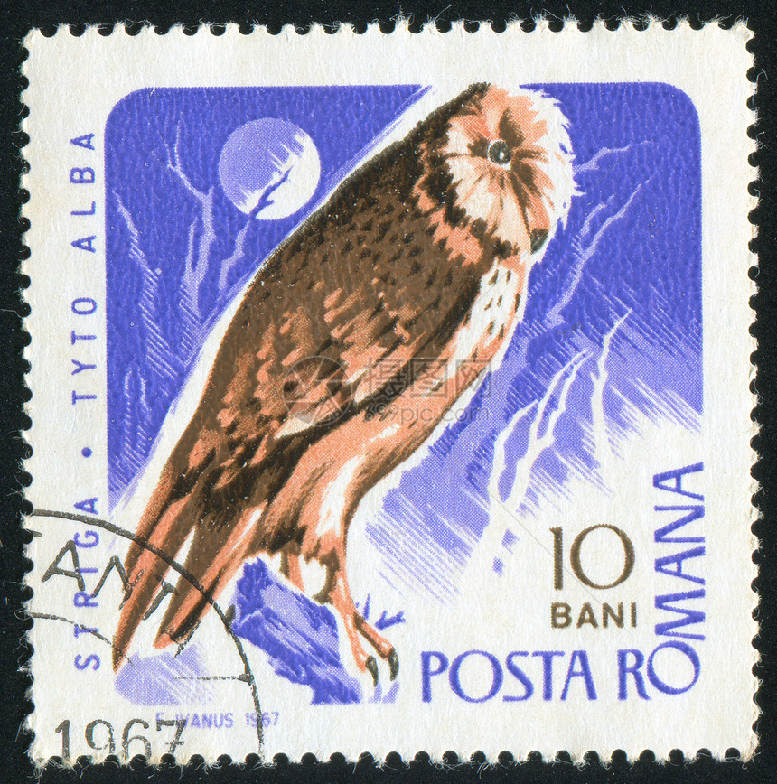 巴恩猫头鹰羽毛动物群古董历史性月亮捕食者邮件邮戳海豹尾巴图片