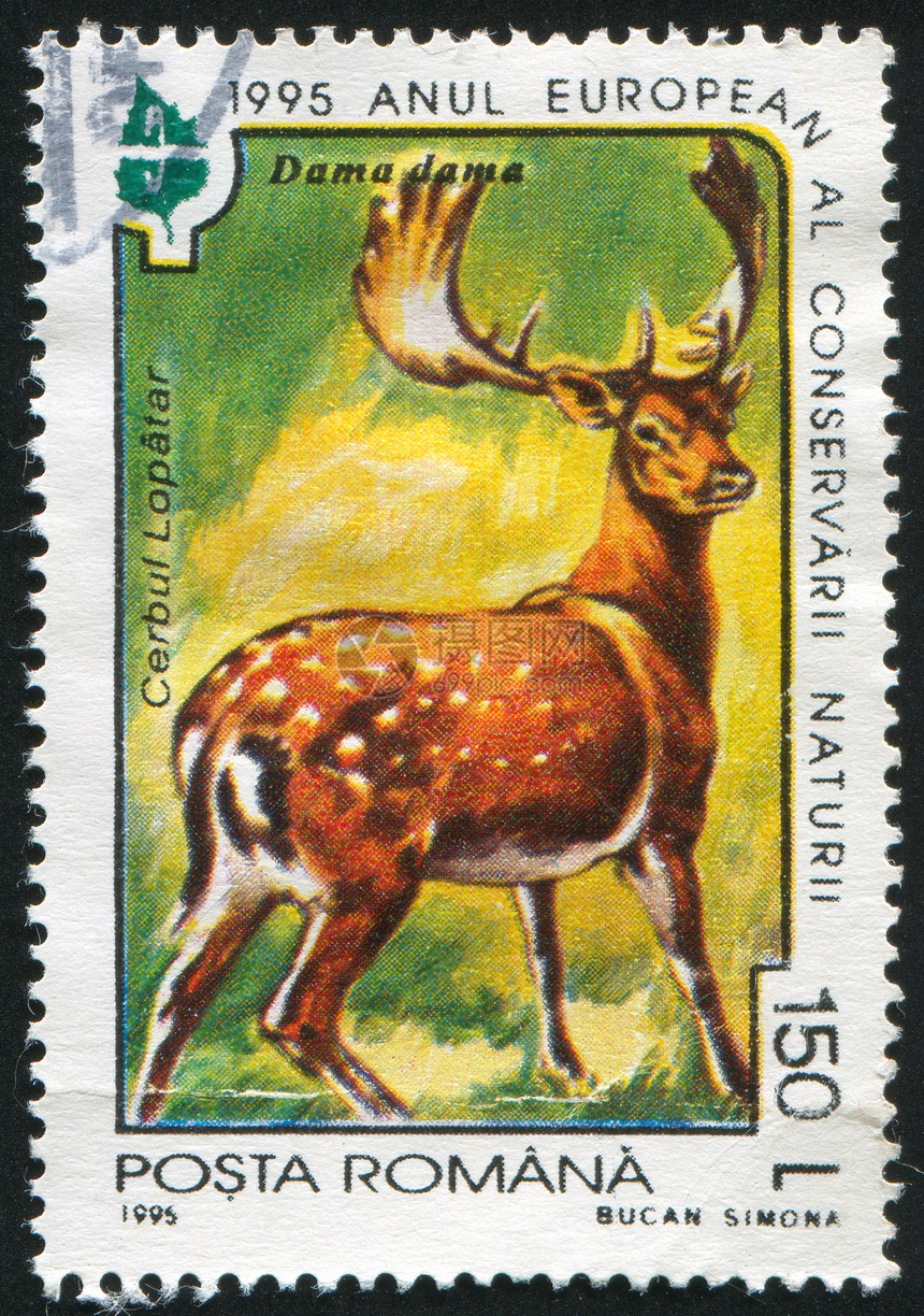 鹿邮票动物鹿角古董哺乳动物耳朵历史性牛角尾巴邮戳图片