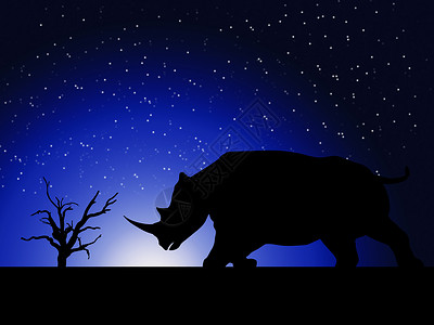 犀牛剪影素材里诺西尔福特野生动物动物牛角哺乳动物荒野大草原天空力量分支机构濒危背景