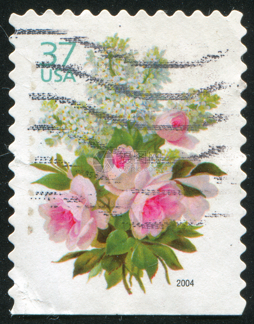盖上邮票植物群历史性古董海豹明信片信封花瓣植物学植物邮戳图片