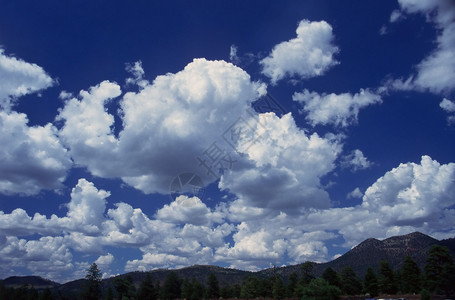 云天空蓝色森林背景图片
