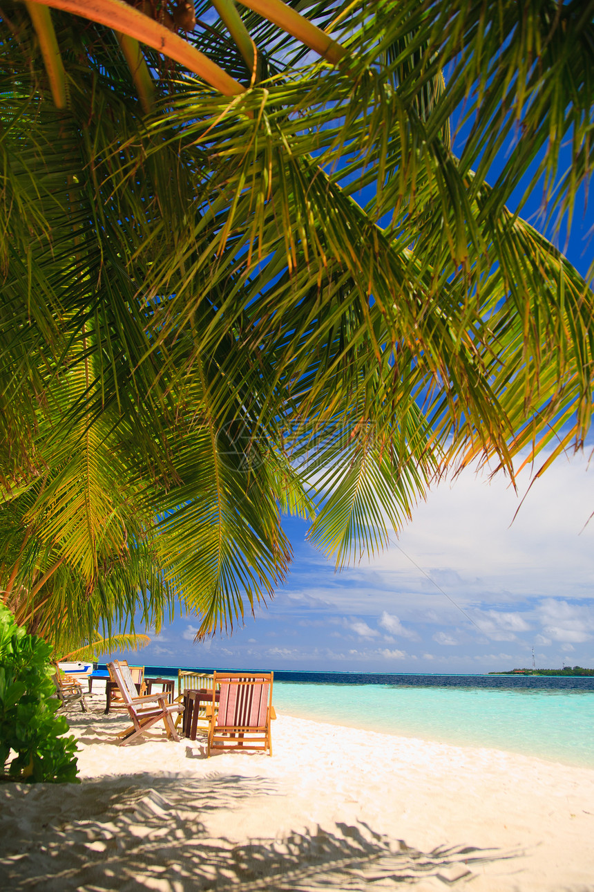 热带天堂的放松阳光休息室场景地平线游客阳伞风景棕榈太阳天空图片