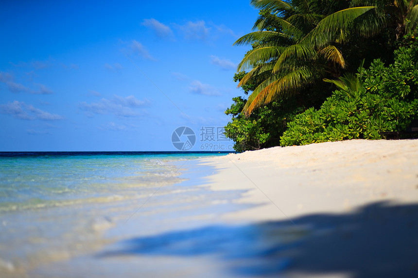 马尔代夫的热带天堂太阳气候风景海景旅游游泳海浪叶子假期地平线图片