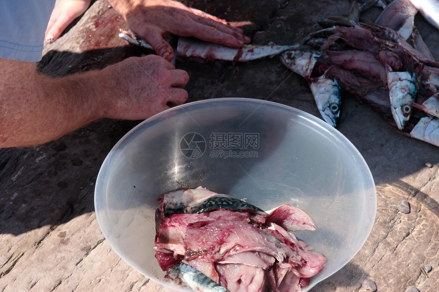 渔民填海鱼渔获图片