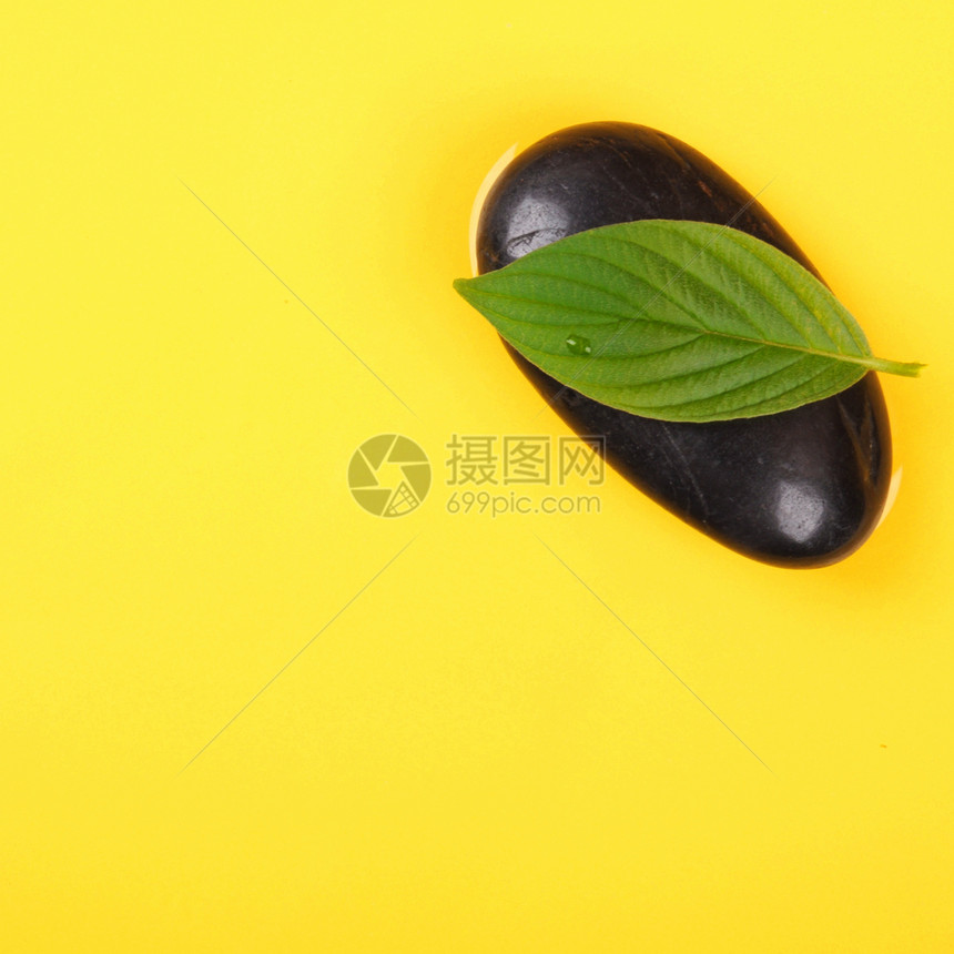 SPA 水疗黑色草本植物生活福利卡片叶子静物冥想治疗草药图片