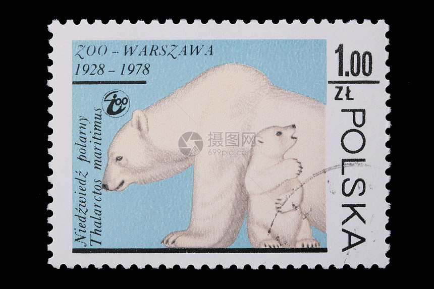 波兰-1978年CIRCA 一只印花熊图片