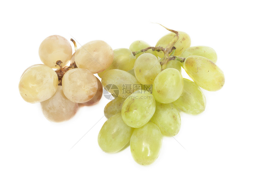 新鲜的葡萄 孤立在白色美食植物浆果水果食物酒厂小吃黄色绿色工作室图片
