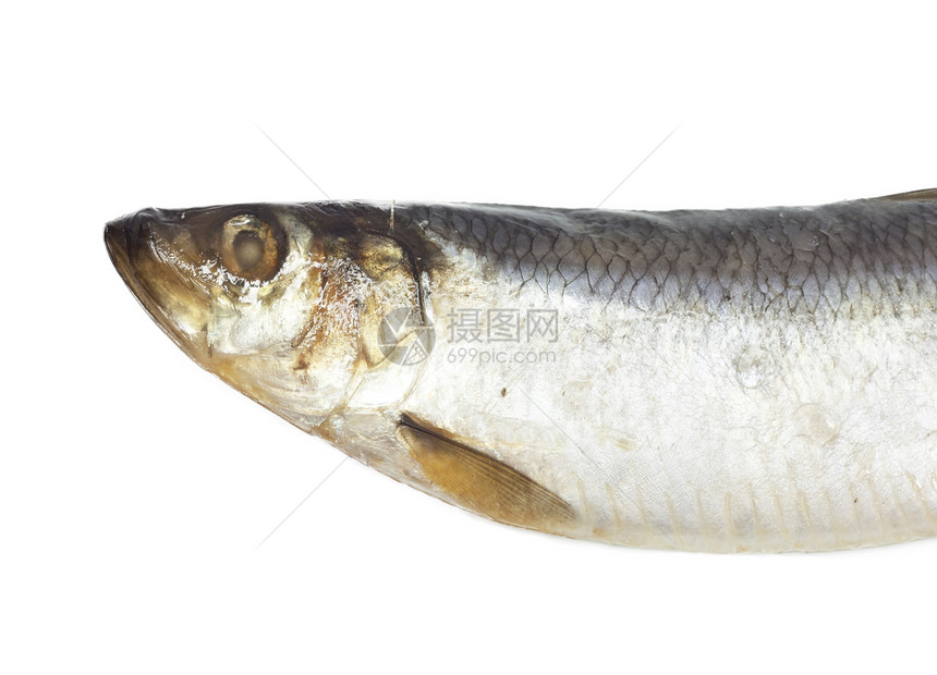 白色背景上盐咸头盐渍食物钓鱼海鲜妻子鲱鱼尾巴皮肤图片