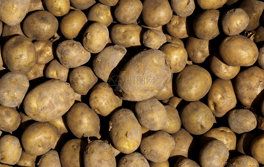 马铃薯淀粉烹饪糖类饮食市场产品土豆食物棕色农场图片