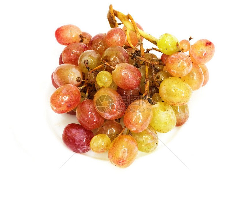 新鲜葡萄食物水果装饰品植物白色浆果收成粉色紫色酒厂图片