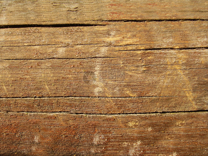 纹理质木材木头棕色建造硬木戒指木纹木地板控制板单板图片