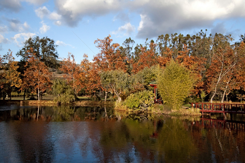 秋天的池塘季节反射蓝色绿色荒野天空风景植物公园树木图片