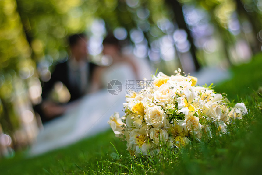 婚前花束未婚夫白色女性丈夫绿色草地花朵妻子夫妻玫瑰图片