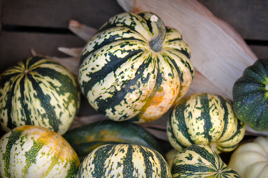 南瓜壁球条纹食物生产收成赏金南瓜季节季节性蔬菜图片