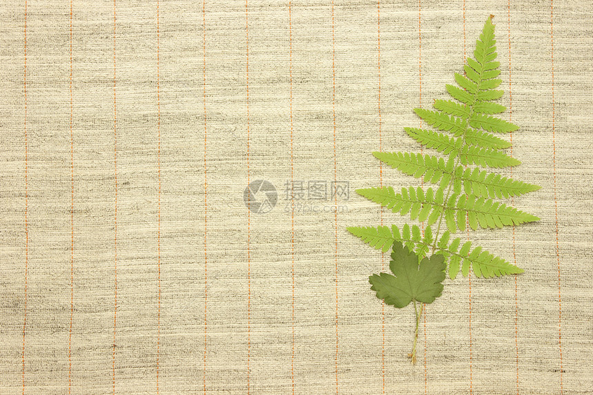 织物纺织以外的干枯绿叶帆布编织宏观墙纸条纹亚麻材料麻布艺术空白图片