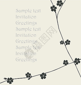 花卉模板创造力白色花瓣卡片黑色墙纸花园艺术叶子生长背景图片