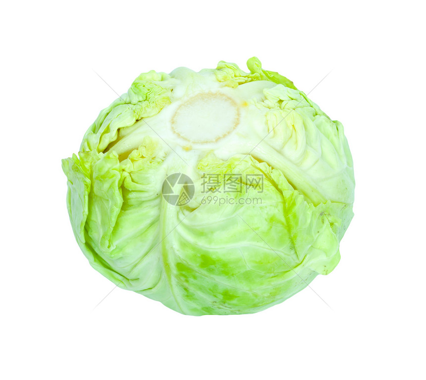 白背景隔离的绿色菜菜菜白色花园蔬菜多叶叶子东西油菜食物沙拉图片