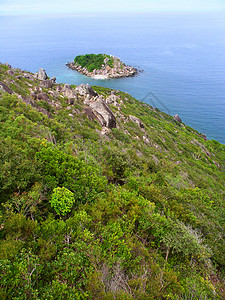 澳大利亚海滩巨石旅行森林海洋公园爬坡植被岩石背景图片